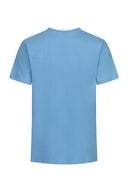 Men's Premium-T Promodoro Alaskan blue large T-shirt