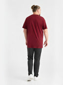 Zestaw duże spodnie dresowe bawełniane RORY szare i męski bawełniany T-shirt FLYERS D555 czerwony